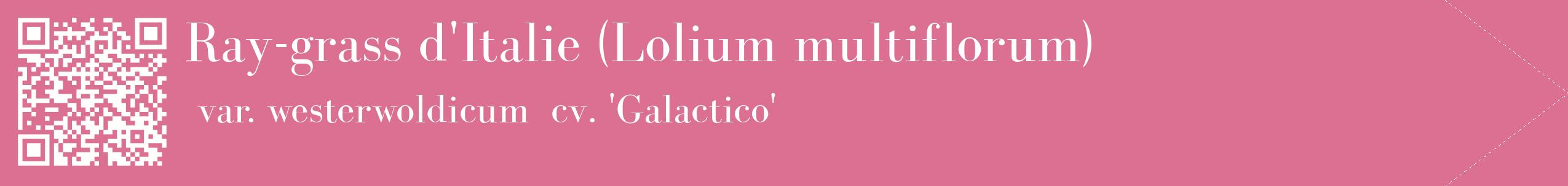 étiquette 2